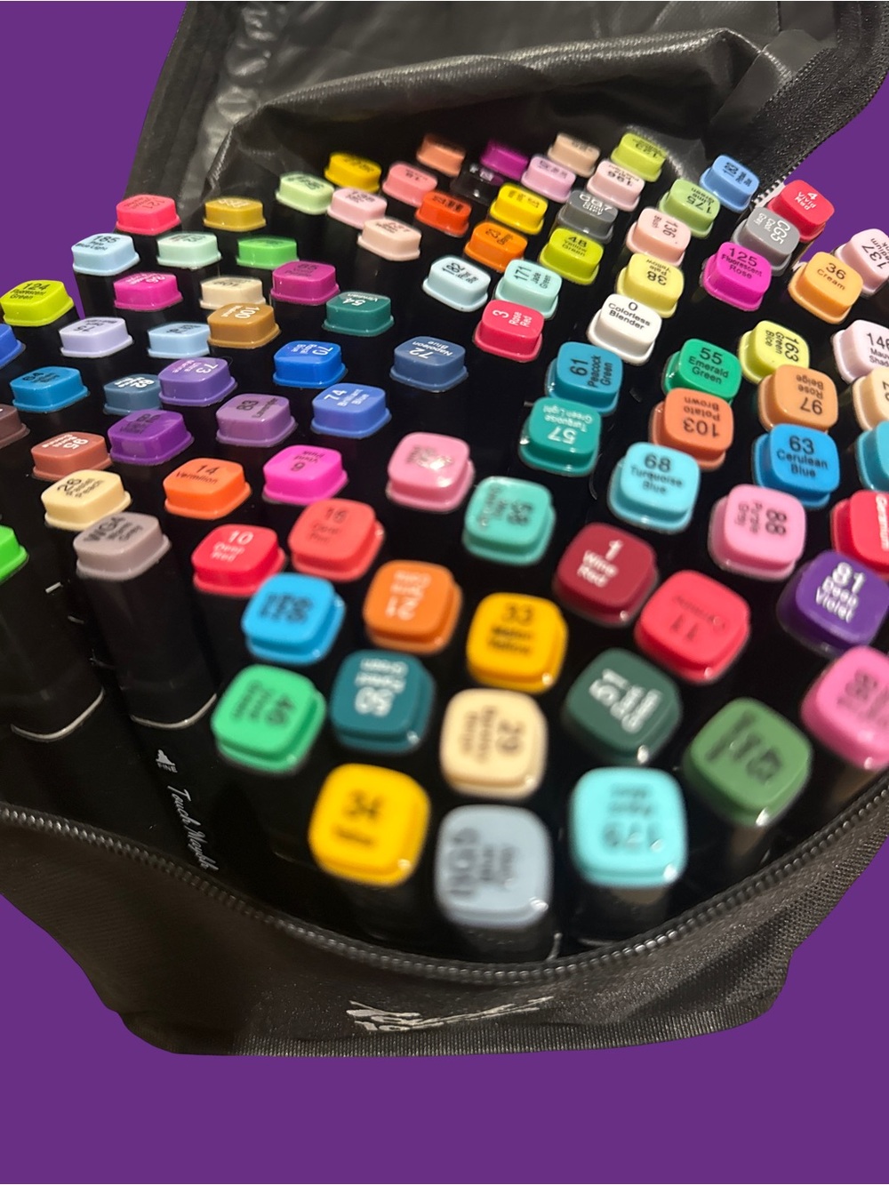 Artist Dual-Tip Marker Set - Assorted Colors